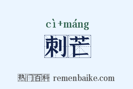 刺芒是什么意思的图片